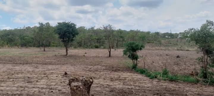 Property Thumbnail